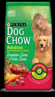 Dog Show Jovenes